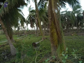 January 07 2012