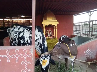 Feb 4 2022 sripuram