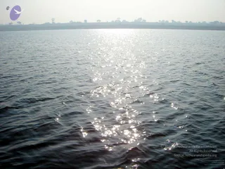 January 06 2006