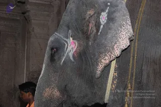 August 01 2009 - Kalpataru, Thiruvanaikaval, India