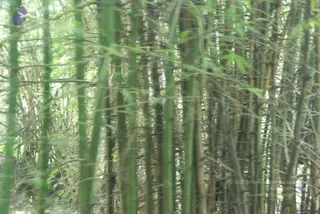August 03 2009