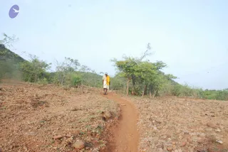 August 05 2009