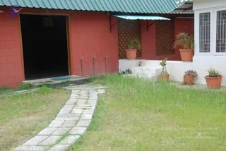 July 08 2010