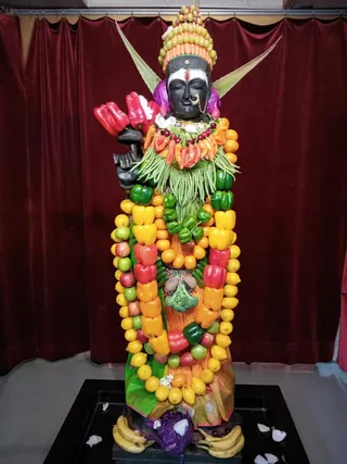 KAILASA HOUSTON, USA on 8/12/2022
