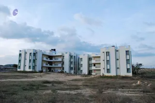 November 20 2008