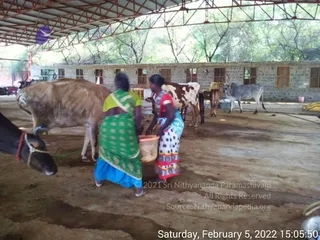 February 07 2022