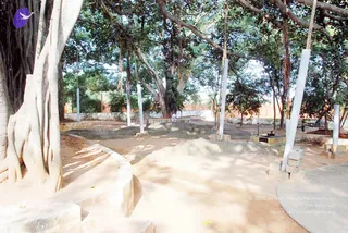 December 16 2010