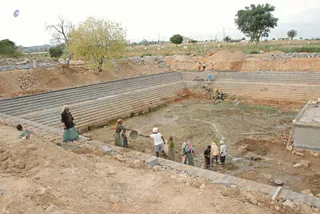 November 19 2008