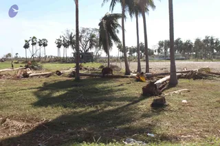 January 06 2012