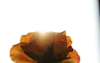 October 03 2014