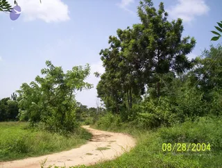 August 28 2004
