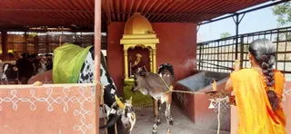 Feb 22 2022 sripuram