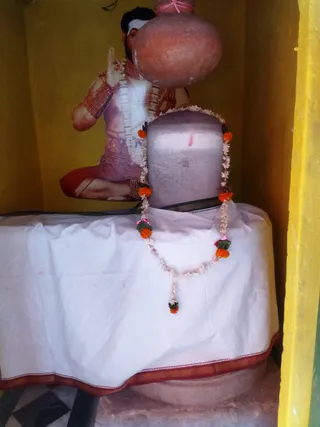 KASHI SARVAJNAPEETAM on 5/12/2022