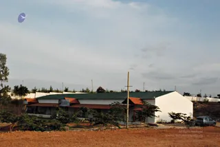 November 20 2008