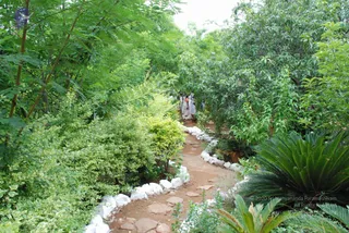 July 27 2008