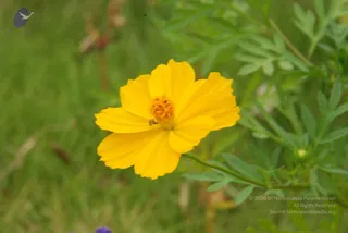 July 08 2010