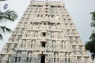 A photograph of a towering white stone temple gopuram covered in tiered rows of carved deities, figures and niches, with a dark doorway at the base. Palm fronds appear at the left edge and green leaves at the right. The sky is pale grey. No people are visible in the frame, and no a person candidate appears in the image.