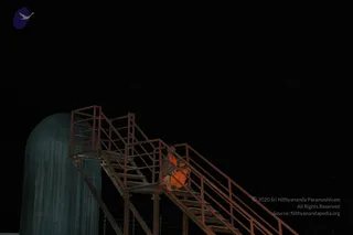 October 07 2010