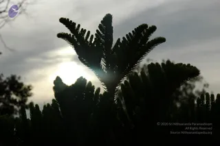 September 05 2006