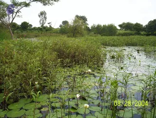 August 28 2004