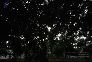 July 08 2010