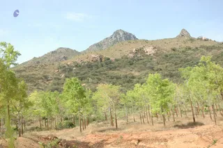 1978 - Tiruvannamalai - InnerGirivala