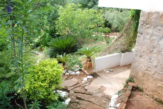 July 27 2008