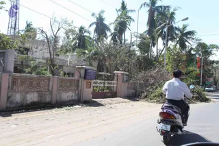 A roadside photograph taken from a moving vehicle of a street lined with tall palm trees and a damaged, storm-stripped tree. On the left stands a pale concrete boundary wall with carved panels and a metal gate, beside a blue signboard on a pillar and a multi-storey building partly hidden by vegetation. Debris and cut branches are piled along the roadside on the right. A man in a white striped shirt rides a purple scooter with the registration plate PY 01 BK 1723 in the foreground. A utility pole and street lamps line the road.
