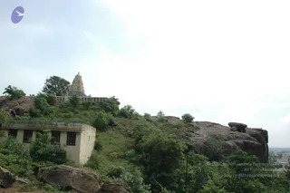 May 20 1989