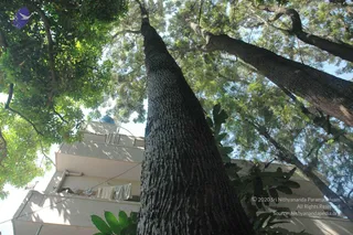 April 07 2008