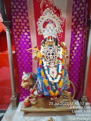 Photo 8285966