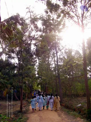 20060503 P3170295 CMP WM 33.jpg