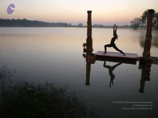 Nithyananda Yoga Poses
