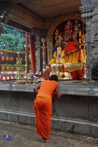 20100709 Photo 1142 1LgDwUvoF1L3YHKniuhJ5UHTwODOfLVap.JPG