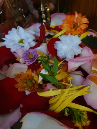 Photo 8286003