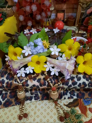 Photo 8286006