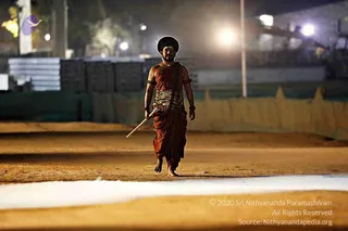 January 31 2018