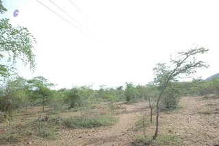 1978 - Tiruvannamalai - InnerGirivala