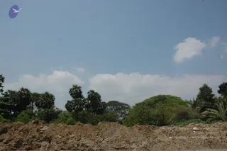 March 03 2007