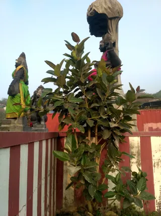 Photo 8286049