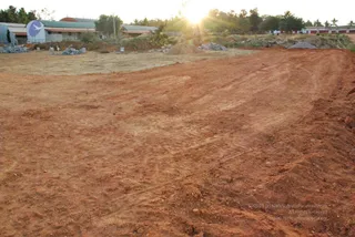 November 20 2008