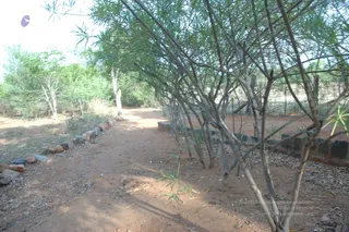 1978 - Tiruvannamalai - InnerGirivala