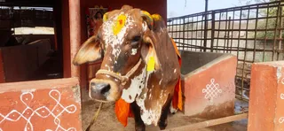 Jan 10 2022 sripuram