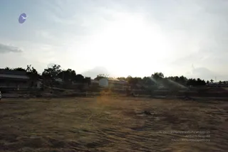 November 20 2008