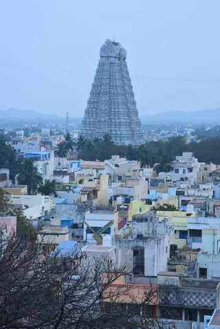 Oneness with the Avatar - Day 4 - Kailasa in Tiruvannamalai