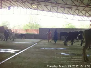 March 29 2022