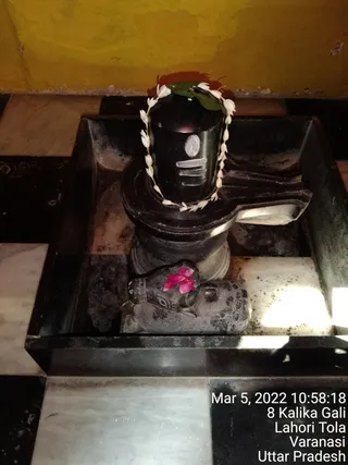 KASHI SARVAJNAPEETAM on 3/5/2022