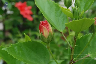 July 08 2010