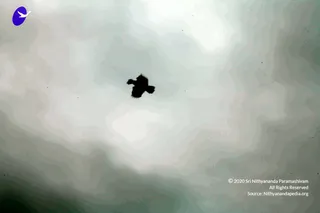 December 20 2010