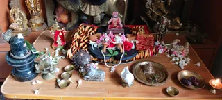 KAILASA VARC, INDIA on 2/3/2022